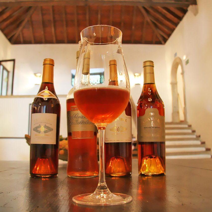 WINE TOURISM SETÚBAL